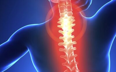 Yoga for Back Pain