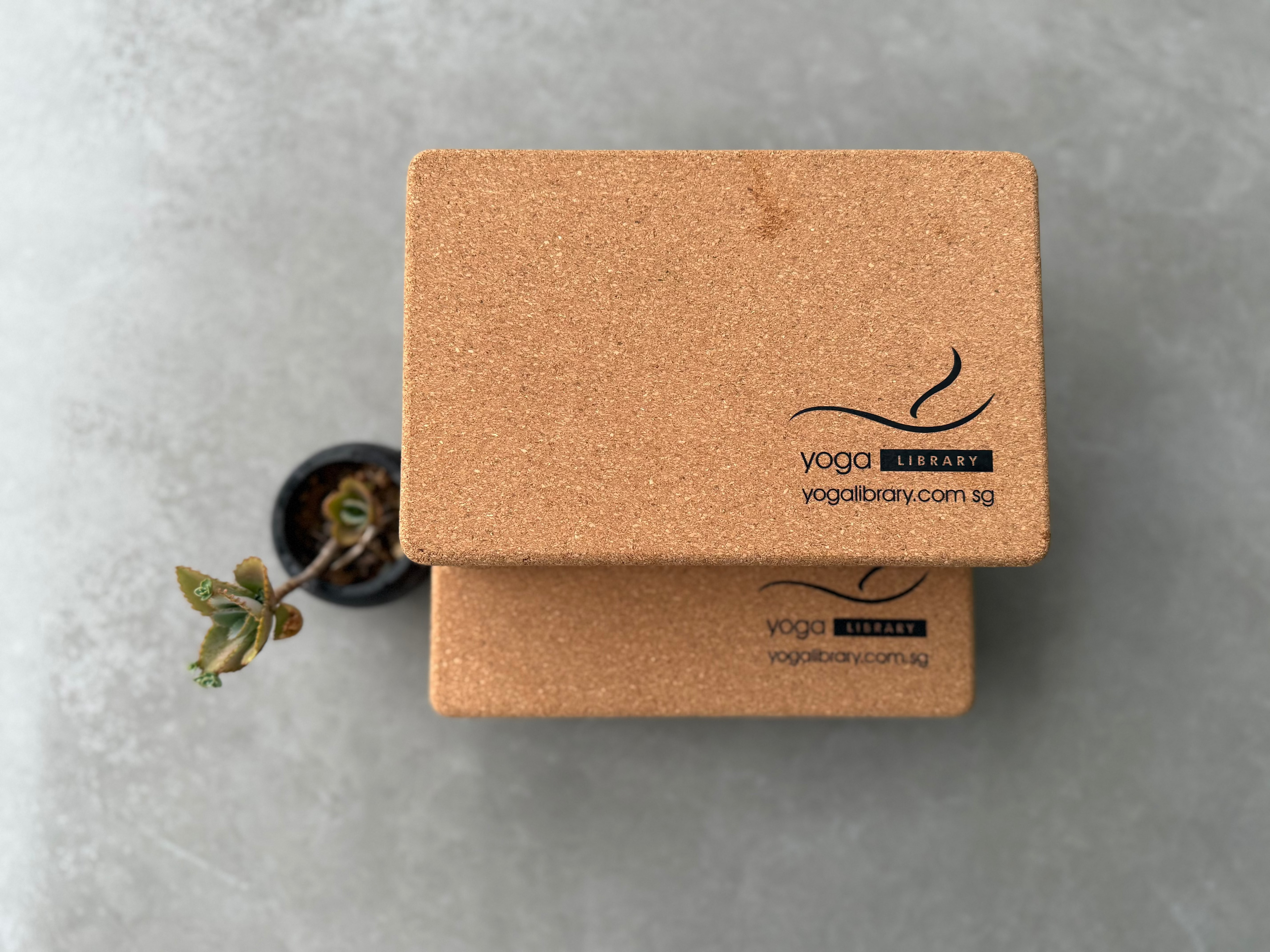 Yoga and Pilates Blocks