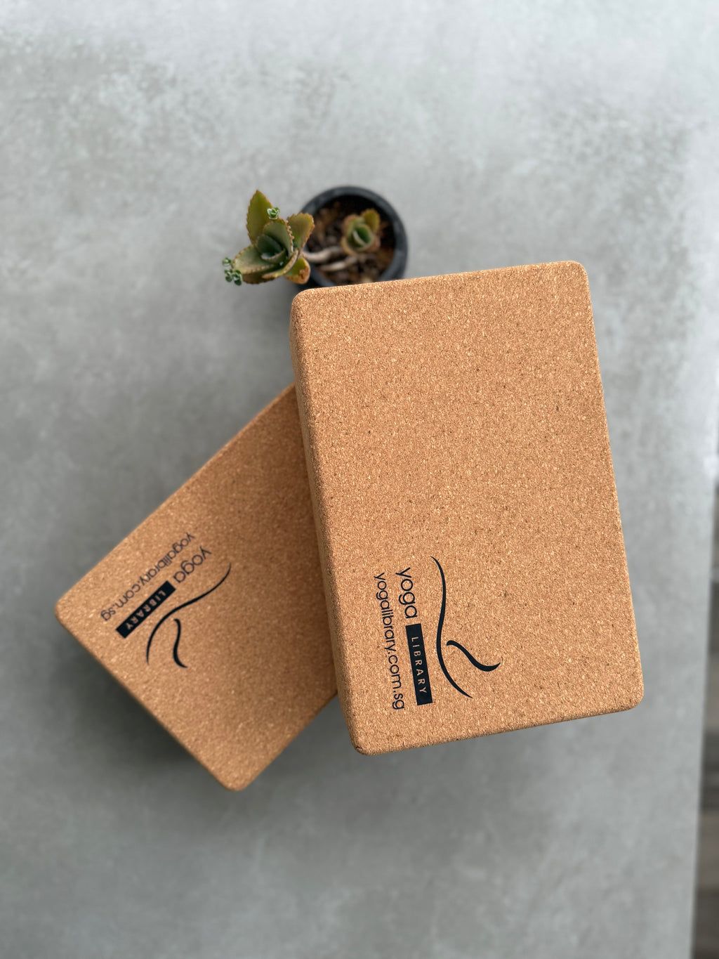 Yoga and Pilates Blocks